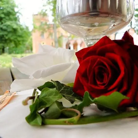 Zamek Karnity Miłomłyn